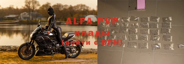 прущие грибы Грязовец
