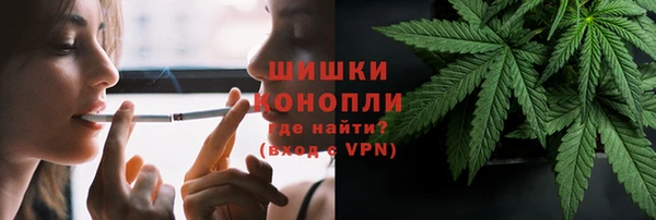 ешки Пестово