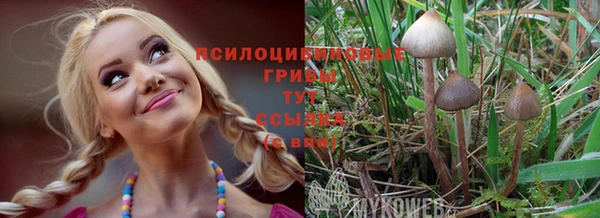 скорость Грязи