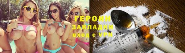 прущие грибы Грязовец