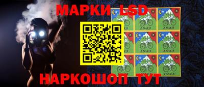 гидропоника Дубна