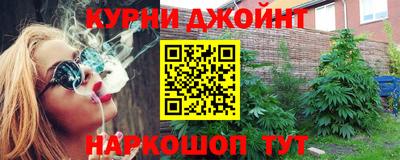 гидропоника Дубна