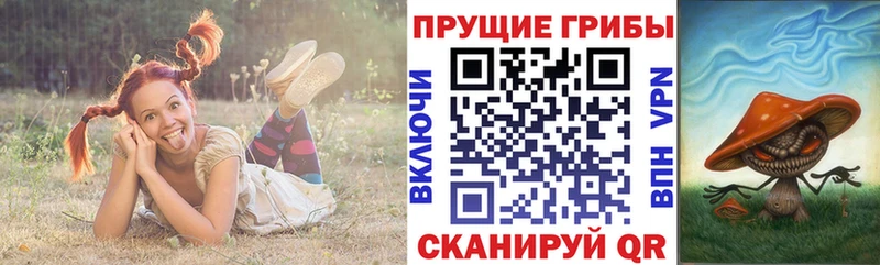 гидра ТОР  Крымск  Псилоцибиновые грибы Cubensis  как найти  