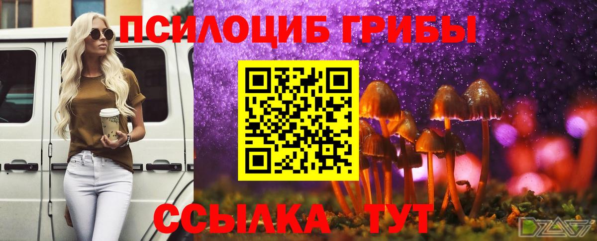 Псилоцибиновые грибы MAGIC MUSHROOMS  как найти закладки  Крымск  Вход с VPN 