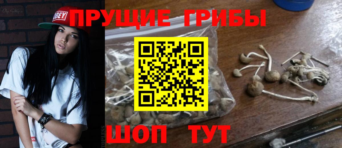 Псилоцибиновые грибы ЛСД Крымск